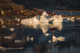 Greenland (11/58)